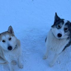 WhatsApp-Image-2026-03-13-at-08.06.15