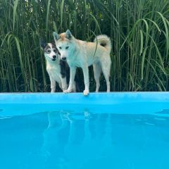 WhatsApp-Image-2026-03-13-at-08.06.20