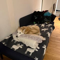 WhatsApp-Image-2026-03-13-at-08.11.041