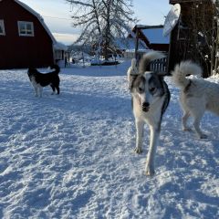 WhatsApp-Image-2026-03-13-at-08.06.151